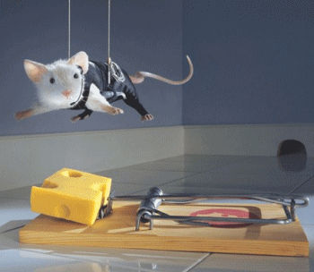 cheese-mouse