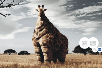 funny-giraffe