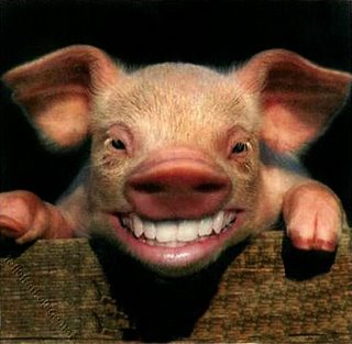 pig_smiling