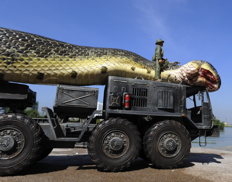 The largest anaconda Maior cobra do mundo  (5)