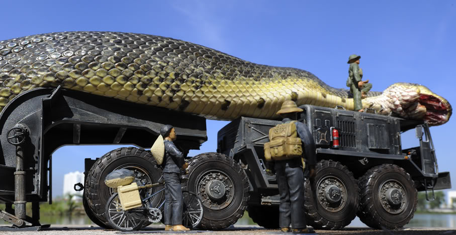 The largest anaconda Maior cobra do mundo  (6)